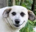 Extremely Neutral's Avatar