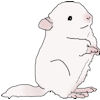 jerk's Avatar
