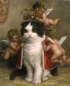 Kitteh's Avatar