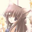 50504724's Avatar