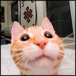Greg's Avatar