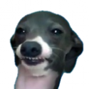 HelloTony's Avatar